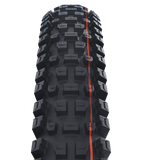 Schwalbe - Albert Radial