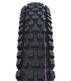 Schwalbe - Albert Radial