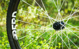 Berd Sparrow Carbon Gravel Wheelset