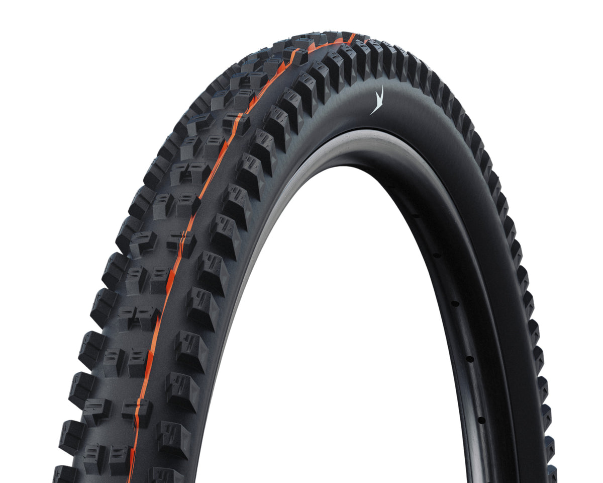 Schwalbe - Tacky Chan Radial | Bikecomponents.ca