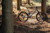 Antidote - Woodsprite - Bikecomponents.ca