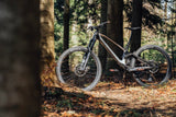 Antidote - Woodsprite - Bikecomponents.ca