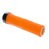 Ergon GE1 Evo Factory Grips