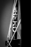 Berd / We Are One HAWK27 29" Trail Carbon Wheelset - Bikecomponents.ca