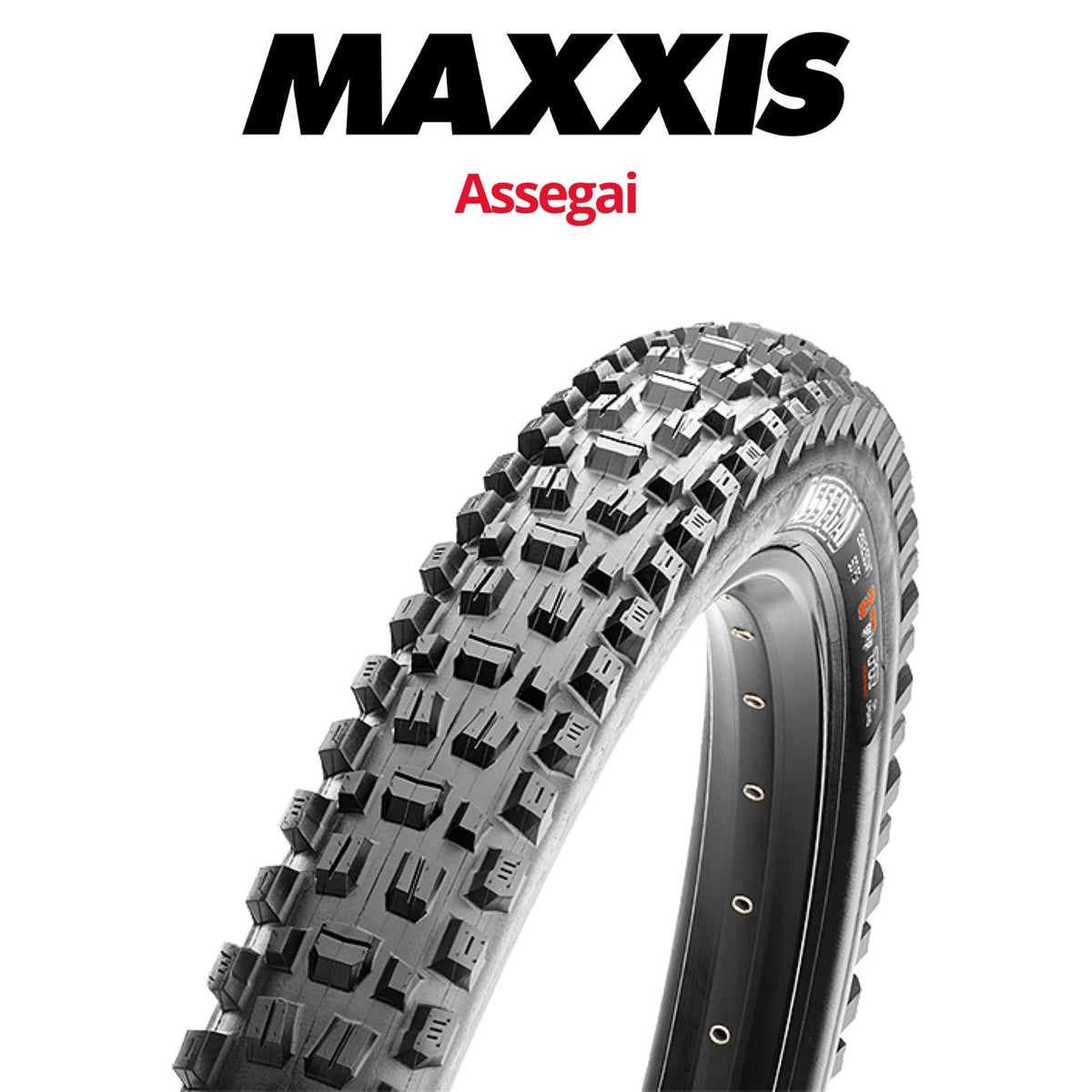 29×2.5 MAXXIS ASSEGAI2本セット＋1本おまけ付き MaxxisAssegai-437329_1200x1200