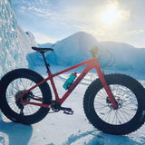 PNW Pine 27.2mm Dropper Post - Bikecomponents.ca