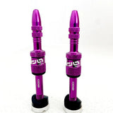 e*thirteen Quick Fill Plasma Valves - Bikecomponents.ca