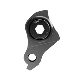 SRAM Universal Derailleur Hanger (UDH) AC-DRHG-MTB-A1
