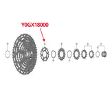 Shimano XT CS-M8100 & SLX CS-M7100 Sprocket 18T (Y0GX18000) - Bikecomponents.ca