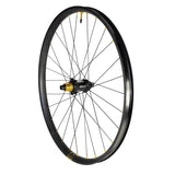 TOR - TR35 12x142 29" rear wheel, XD, HG or MICRO SPLINE - Bikecomponents.ca