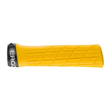 Ergon GE1 Evo Grips