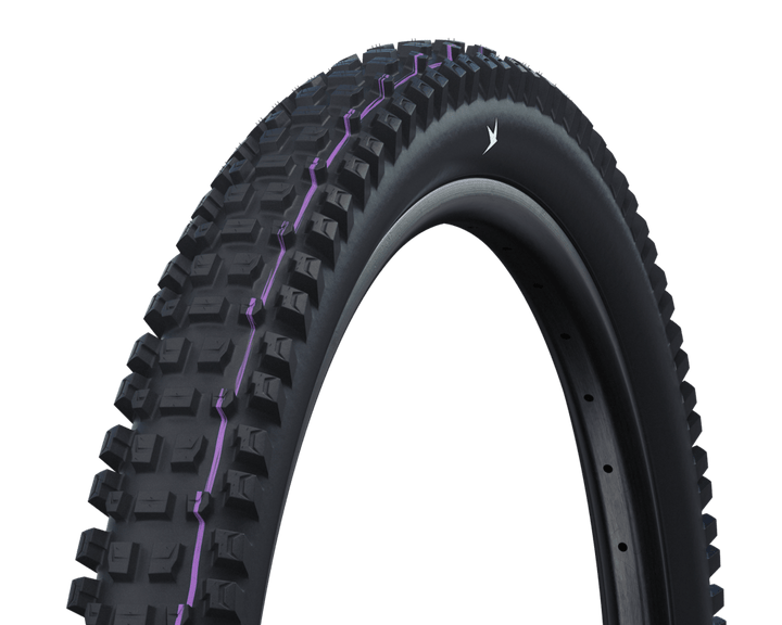 Schwalbe - Albert Radial - Bikecomponents.ca
