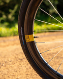 Berd Sparrow50 Gold Carbon Gravel Wheelset