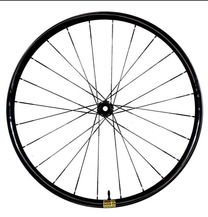 Berd / Erase / HAWK30 Gold 29" Cross-Country Carbon Wheelset - Bikecomponents.ca