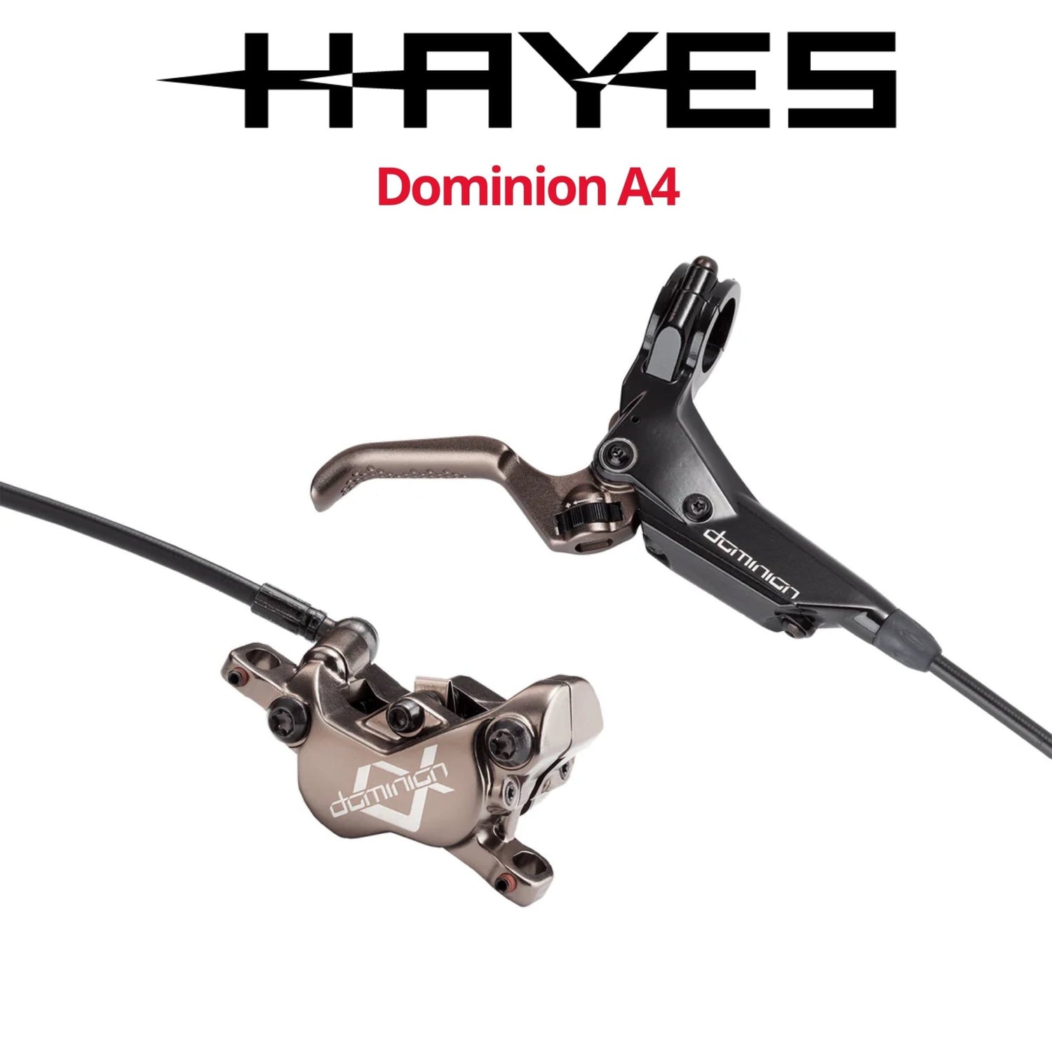 Hayes Dominion A4 4 Piston Disc Brakes