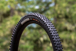 Maxxis Dissector II (2025) - NEW!