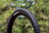Maxxis Dissector II (2025) - NEW!