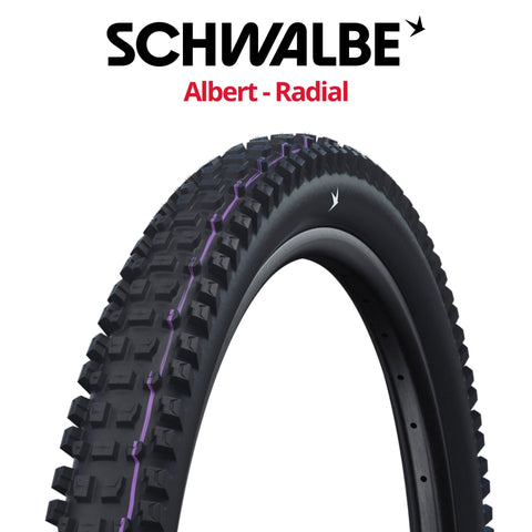 Schwalbe - Albert Radial