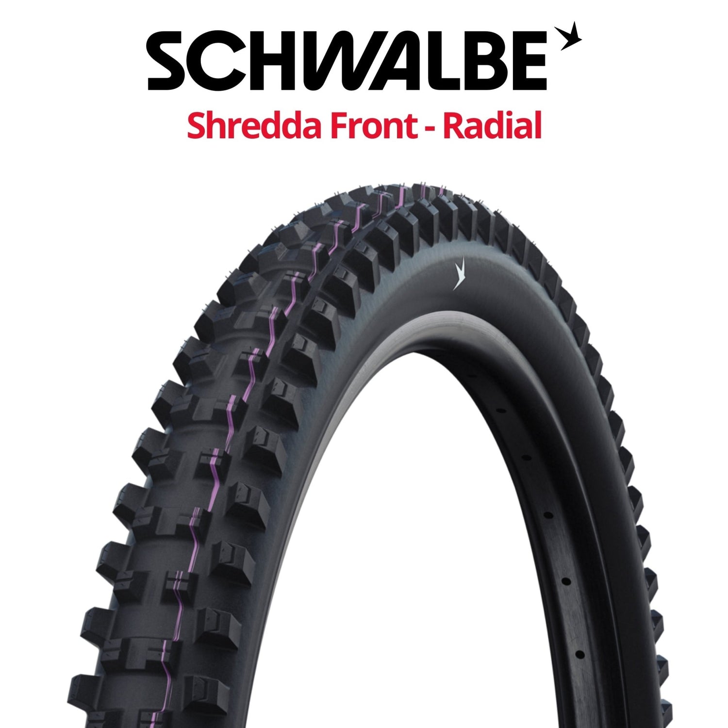 SRH SUMMIT08 BADASS GROOVE　coldrain Schwalbe - Shredda Front Radial | Bikecomponents.ca