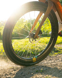Berd Sparrow50 Gold Carbon Gravel Wheelset