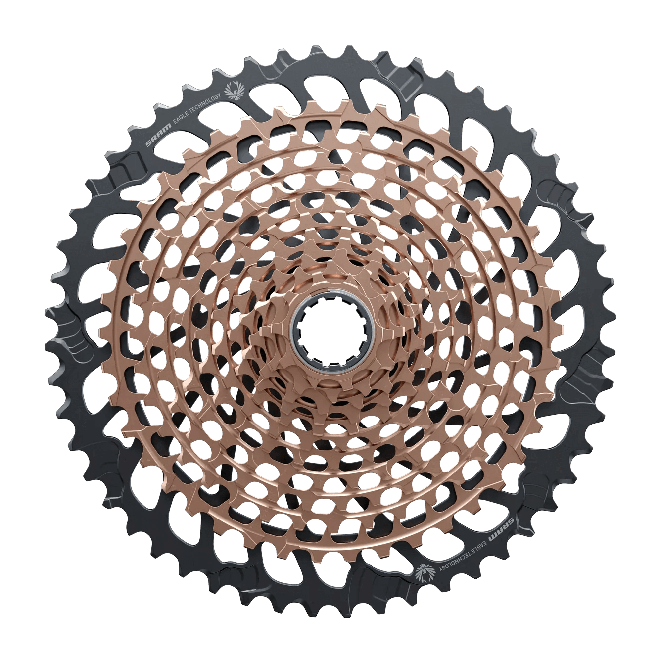 12058782_5